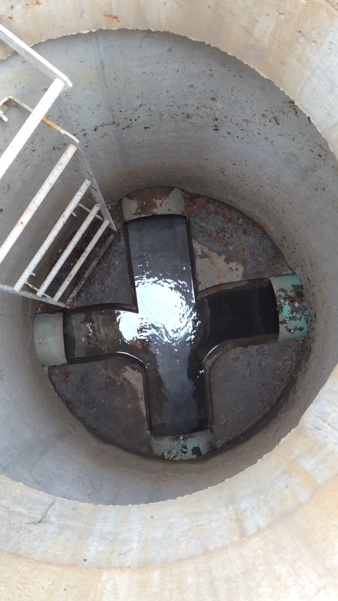 Regard PERFECT - 1SN - 4ouv