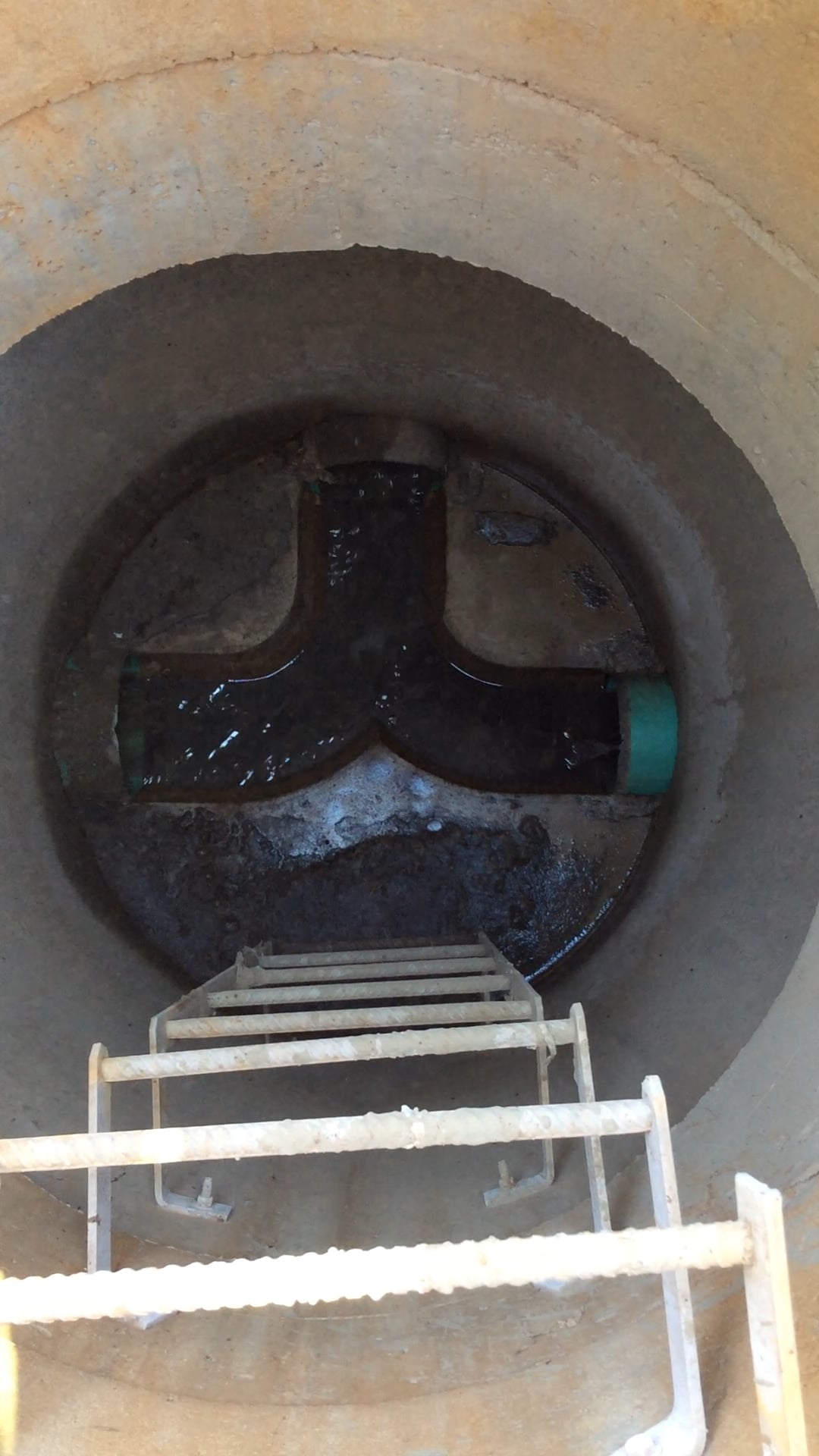 Regard PERFECT - 3SN - 3ouv