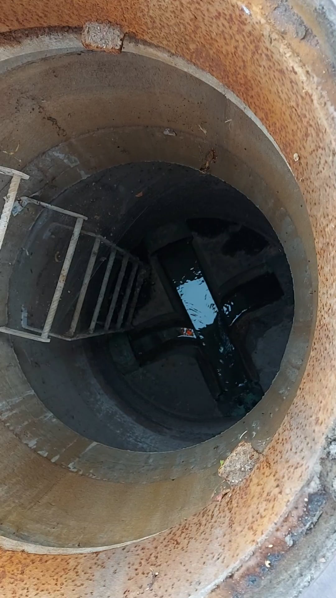 Regard PERFECT - 4SN - 4ouv