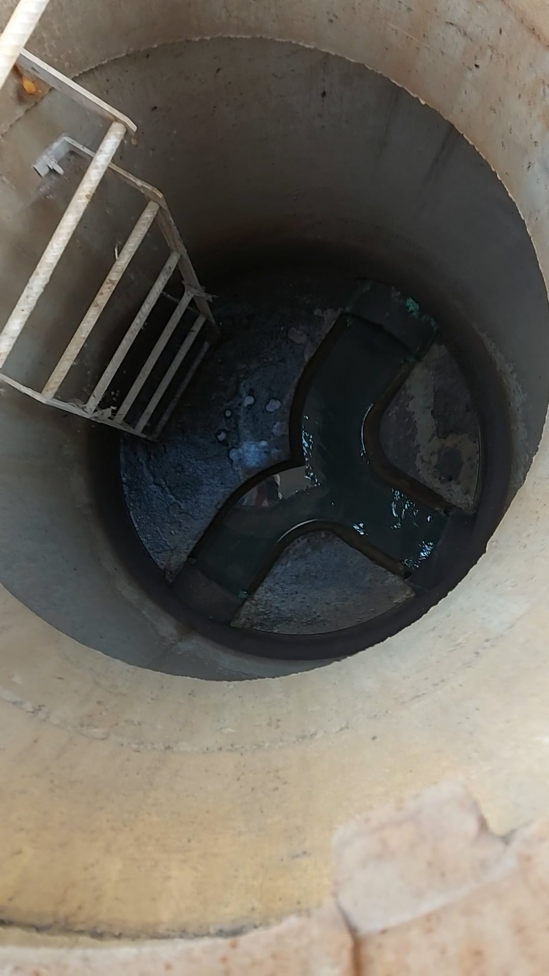 Regard PERFECT - 5SN - 3ouv