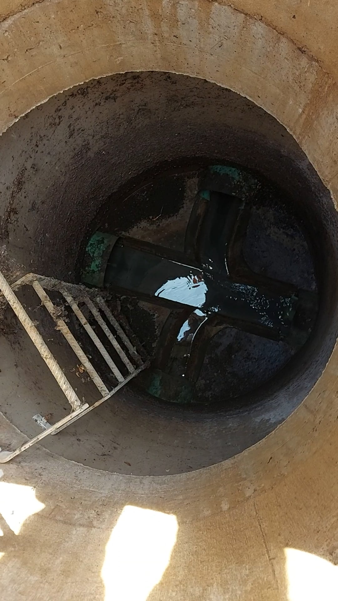 Regard PERFECT - 5SN - 4ouv