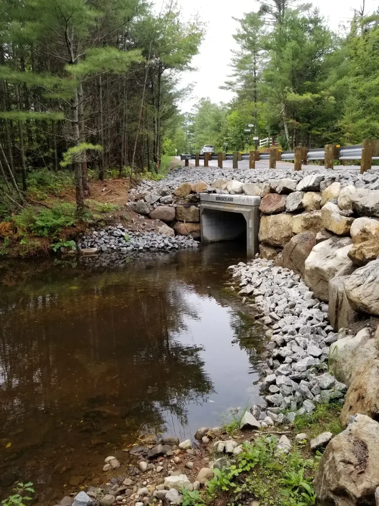 Ponceau-Laurentides1